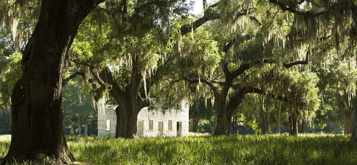 Author of Southern Historical Fiction and Paranormal Suspense